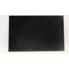 Lenovo DISPLAY BOE 14.0 WUXGA AG