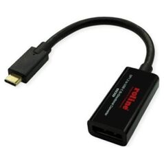 Adapter AV Roline ROLINE USB typu C - DisplayPort, v1.2, dwukierunkowy adapter kablowy, M/F, 0,2 m