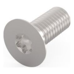 SCHROFF Śruba SCHROFF z łbem stożkowym, Torx M5x12 mm, stal, ocynkowana, 100 szt.