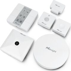 MILESIGHT IoT Milesight Cloud-Pro 1, CoWork Kit