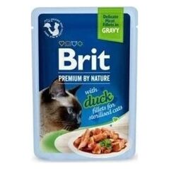 Brit Brit Karma Dla Kota Filet z Kaczki 85g