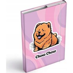 MFP paper teczka skrzydłowa z gumką box A4 Chow Chow 8021069