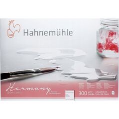 Hahnemühle Hahnemühle Harmony Watercolour cold pressed 12 Sheets 300 g  A4