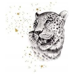 Teka Karnet Złocony kwadrat CL3819_BL Gepard