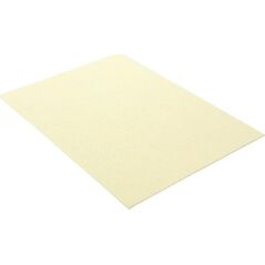 Polsirhurt Filc dekoracyjny ecru 20x30cm 10szt