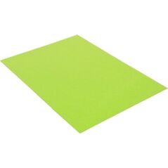 Polsirhurt Filc dekoracyjny seledynowy 20x30cm 10szt