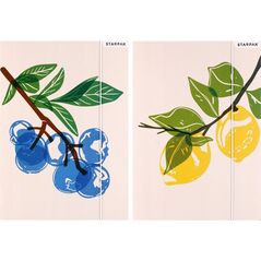 Teka Teczka z gumk± A4 Fruits