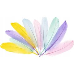 FANDY Piórka gęsie 15-20cm pastelowe