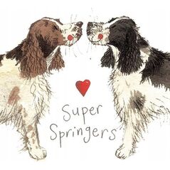 Teka Magnes FM02 Springer spaniel
