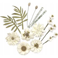 DP Craft Kwiaty papierowe DPCRAF 12 szt. Cream