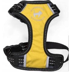 All For Dogs ALL FOR CATS SZELKI SPORTOWE XS ŻÓŁTE