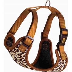 Dingo DINGO SZELKI BEZUCISKOWE XS               1,5cm/25-35cm LEOPARD