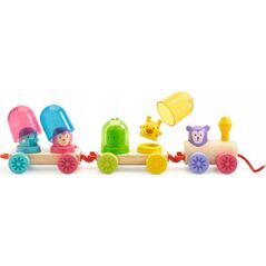 Djeco Djeco Traukinukas - Vaivorykštinis traukinys