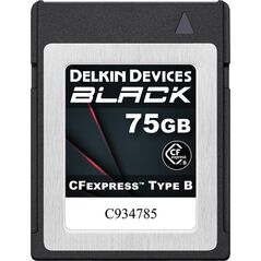Karta Delkin Delkin CFexpress BLACK R1725/W1240 75GB