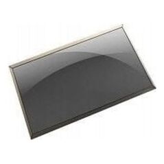 Dell LCD, Non Touch Screen, 14.0