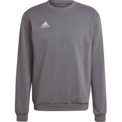 Adidas Bluza męska adidas Entrada 22 Sweat Top szara H57479 L