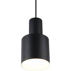 Lampa wisząca Trio LAMP PENDANT TRIO AGURO E27B