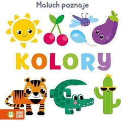 Zielona Sowa Maluch poznaje ... Kolory 94063