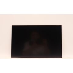 Lenovo DISPLAY INX 14.0 WUXGA AG LCLW