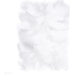 Dalprint Piórka DPCRAFT 5-12cm 10g White Dalprint