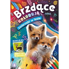 Craft with Fun Brzdące kolor.Zwierz.w lesie nakl.św.w ciemn.78268