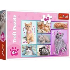 Trefl Puzzle 60 element?w S?odkie kociaki