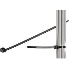 Organizer MicroConnect Opaska zaciskowa Czarny 100 sztuk  (CABLETIE3)