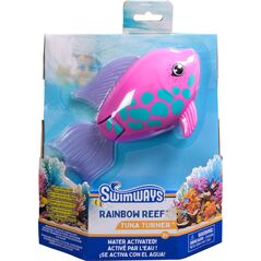 Rainbow Reef Fish - Rainbow Fish