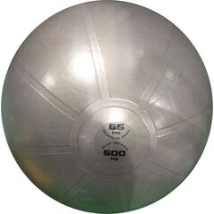 Toorx Gimnast. kamuolys 65cm TOORX PRO AHF-148 13412310 8029975994376