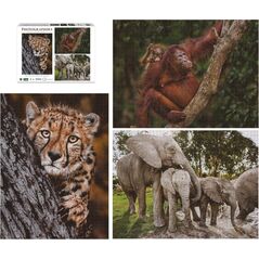 Krups Ambassador Wildlife Families 3x 1000 Pieces (Donal Boyd) 14034648 4897049307872