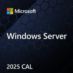 Microsoft Windows Server 2025 CAL PL OEM  (EP2-25268)