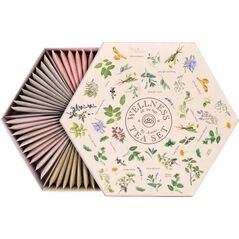 Tea set ACORUS Wellness, 60 pcs.