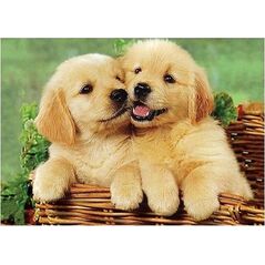 Norimpex 5D διαμαντένιο μωσαϊκό - Σκύλοι 40x30cm 13995185 5903714547326