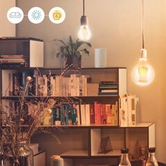 WiZ Wiz Smart Led Bulb White Clear G125 E27 Dimmable, 6,5w-60w Power 13956100 4897104950906