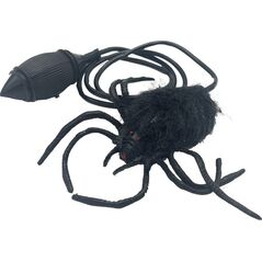 Jumping spider K260 45168 13912003 6991243445168
