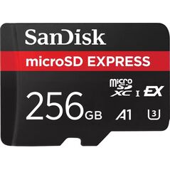 EXPRESS MICROSD CARD 256GB