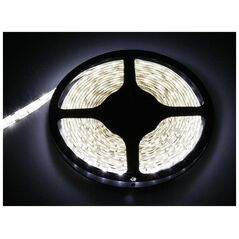 Taśma LED Blow 70-976# Taśma led biały zimny 5050 5m/300wodoodp