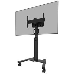 Neomounts Stojak podłogowy na monitor 37" - 75" (FL50S-825BL1)
