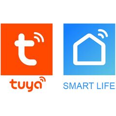 Kamera IP Blow 78-655# Kamera blow wifi tuya 3mp z lampą t-113