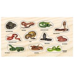 Teka Stickers Vipers and Snakes 2.0 13898592 4823277388970
