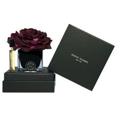 Set Herve Gambs: Ecorce Fauve, Room Spray, 10 ml + Black Couture Flower, Porcelain, Aroma Reed Diffuser, Black Unisex