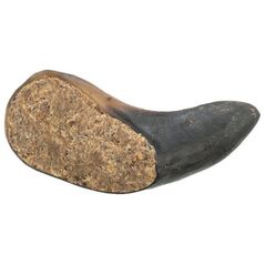 Róg bawoli, nadziewany, przysmak, dla psa, 10-14 cm