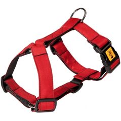 Dingo Dingo Szelki Guard dwupaskowe Scandi 3cm rozmiar M czerwone