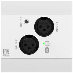 Audac AUDAC NWP320/W Πίνακας εισόδου ήχου δικτύου - 2 x XLR + jack 3,5 mm + BT (4 CH) Λευκή έκδοση 13337520 5414795046900