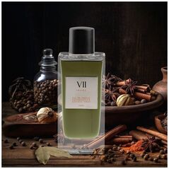 Aurora Aurora, Aroma VII, Eau De Parfum, Ανδρικά, 100 ml Ανδρικά 13453546 6290360540146