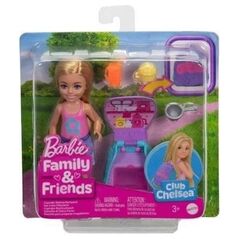 Barbie Family&Friends Klub Chelsea JBF46