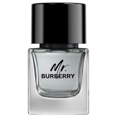 Burberry BURBERRY Mr. Burberry EDT spray 50ml