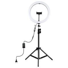 Lampa pierścieniowa Puluz LED žiedinė lempa 30cm, su trikoju stovu iki 1.1m ir telefono laikikliu