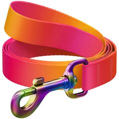 Collar Smycz dla psa nylonowa WAUDOG gradient, dł. 122 cm, pomarańczowa