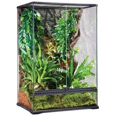 Exo Terra Paludarium szklane MEDIUM,60x45x90cm